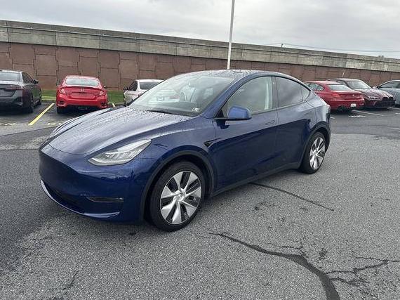 TESLA MODEL Y 2021 5YJYGDEE5MF244809 image